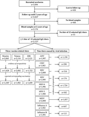 Vaccinations and Infections Are Associated With Unrelated Antibody Titers: An Analysis From the German Birth Cohort Study LISA